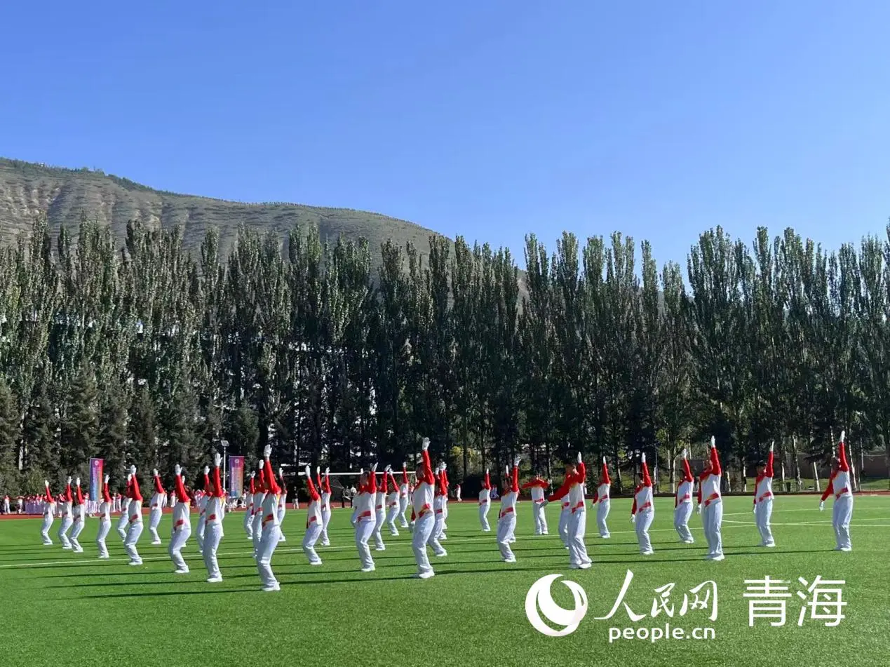 织周密, 拔河比赛 织周密, 拔河比赛